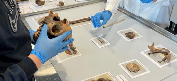 Elever undersøger menneskeknogler fra arkæologisk udgravning