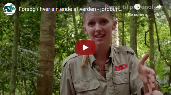 Forsøg i hver sin ende af verden, Jordbundsundersøgelse