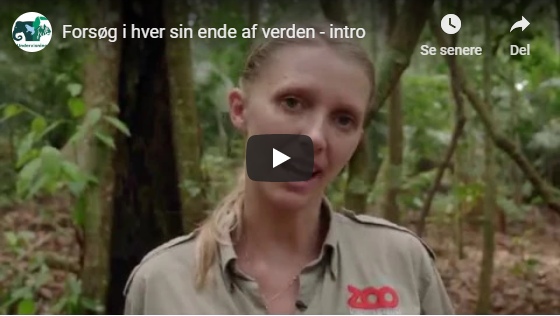 Forsøg i hver sin ende af verden, Intro