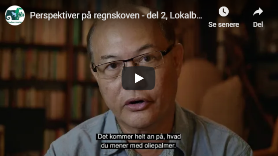 Perspektiver på regnskoven 2