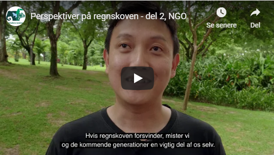 Perspektiver på regnskoven del 3