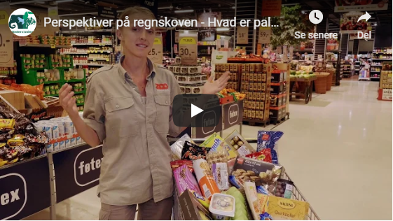 Perspektiver på regnskoven, intro