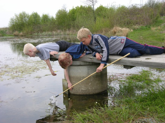 smådyrssafari