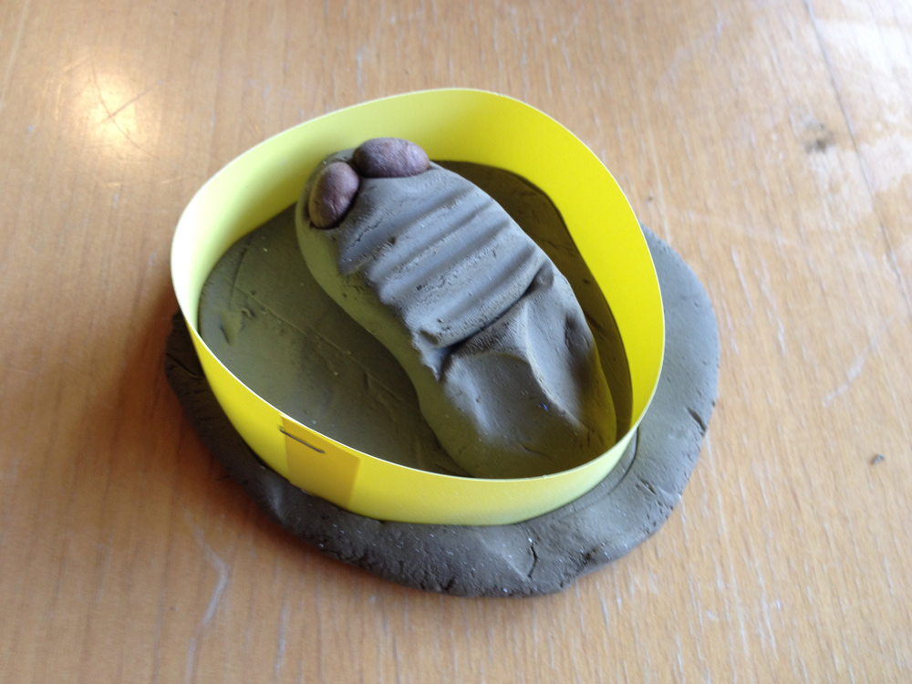 Trilobit et fortidsdyr