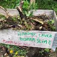 Naturcenter Amager Strand