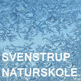 Svenstrup Naturskole logo Skoletjenesten undervisningstilbud