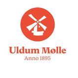 Udlum Mølle logo_skoletjenesten