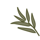 Det levende køkken logo skoletjenesten.dk