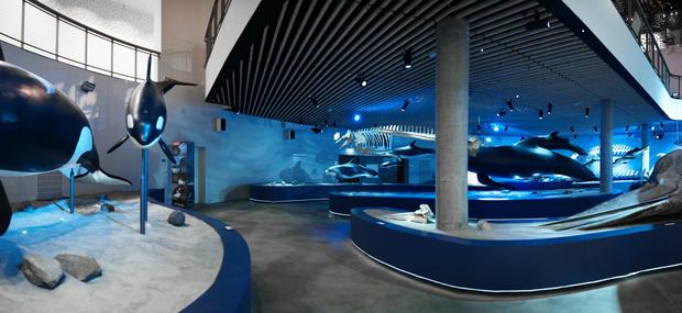 Naturama