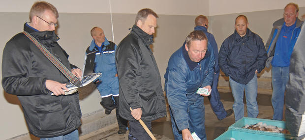 Besøg på fiskeauktionen