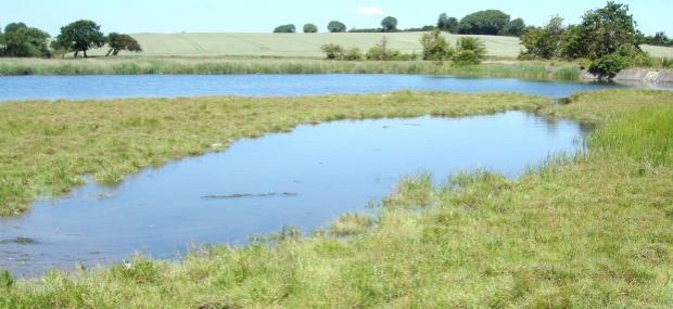 Natur i Fredericia