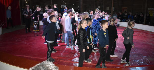 Cirkusforestilling Cirkusmuseet i Rold Cirkus Miehes ridehus