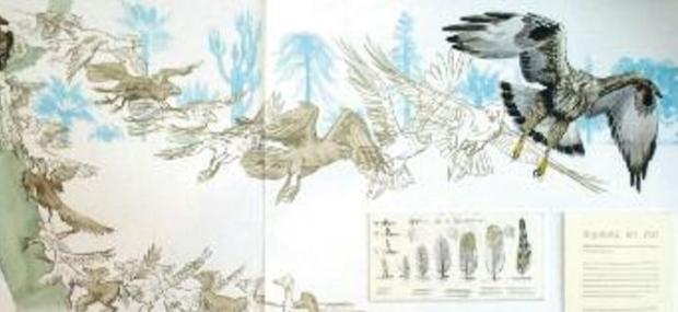 Dinosaurerne udvikling til fugle er et godt eksempel på evolutionære mekanismer.