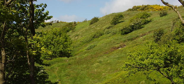 Hjørring Bjerge. Foto: Hjørring Kommune.
