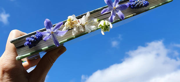 Bog, himmel, blomster