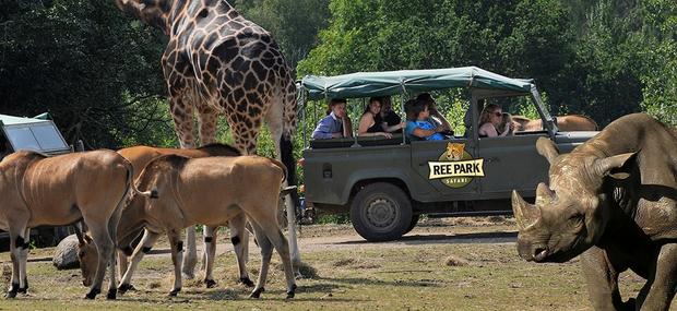 Safaritur på den afrikanske savanne