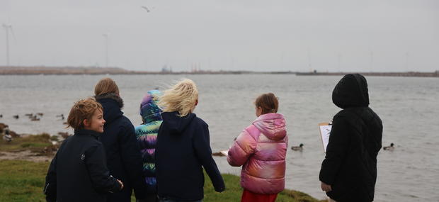 Fugle på Amager Strand