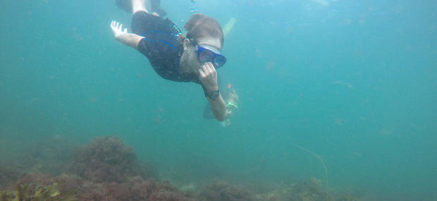 Snorkling i Danmark