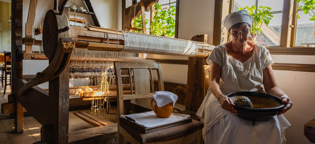 Der runkes sennep på gårdmuseet Melstedgård