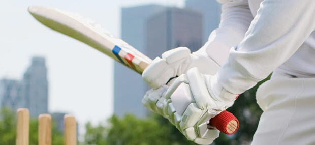 Cricket
