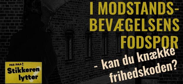 I Modstandsbevægelsens Fodspor