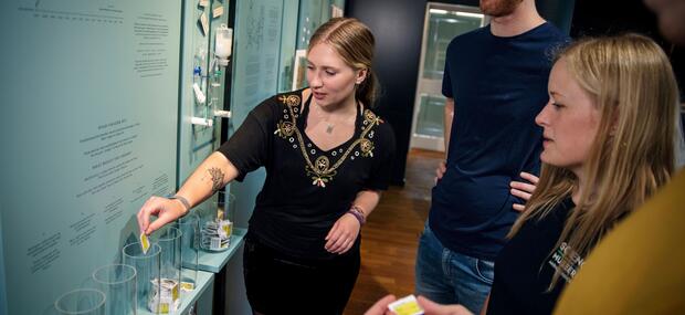 Unge diskuterer sundhedsprioriteter