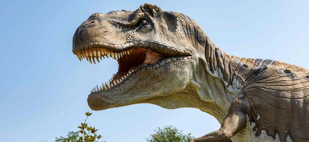 dino