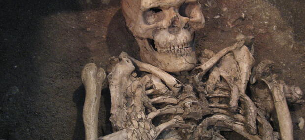 Grav 10 - en stenalderjæger fra Vedbæk 