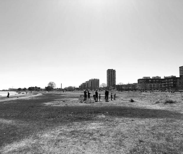 Naturcenter Amager Strand