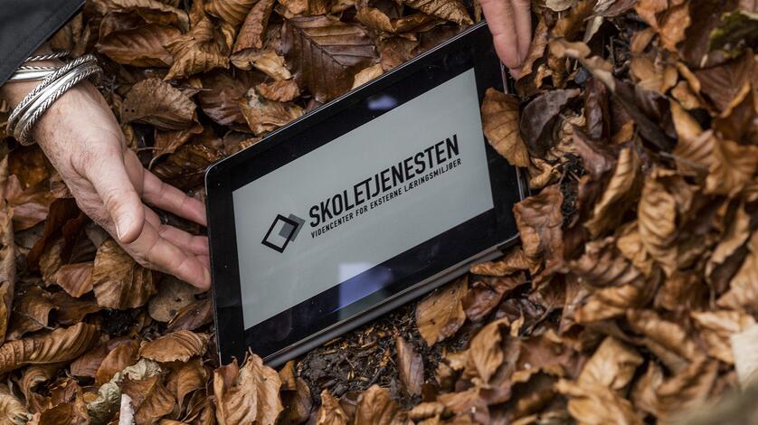 Ipad med Skoletjenesten logo ligger i efterårsblade