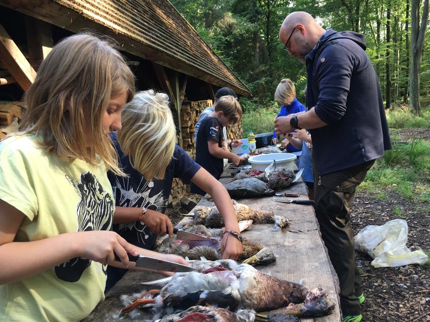 Skoletjenesten Undervisningstilbud Bliv Naturligvis