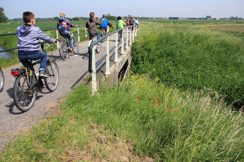 Klasse på cykeltur Struer Kommune Skoletjenesten undervisningstilbud