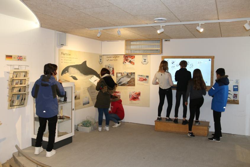 Nordsøen Oceanarium Hvalforskehytten Skoletjenesten undervisningstilbud