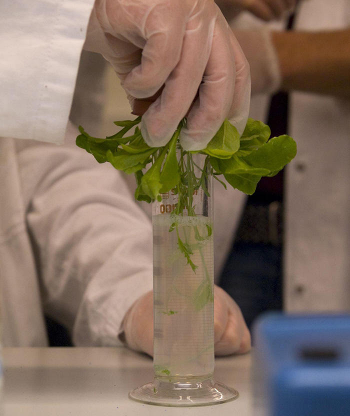 SCIENCE Skoletjeneste Københavns Universitet Skoletjenesten undervisningstilbud