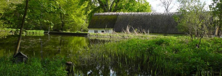 Tadre Mølle Skoletjenesten undervisningstilbud