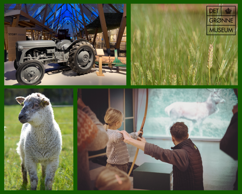 Et udpluk af hvad et undervisningsforløb kunne indeholde. På billedet ses en traktor fra skovudstillingen STORT, et lam, en formidler der hjælper et barn med at skyde med bue og pil, samt en bygmark. 