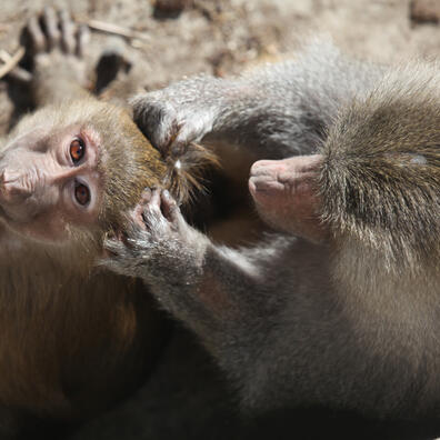 Naturvidenskabelige undersoegelser   adfaerd
