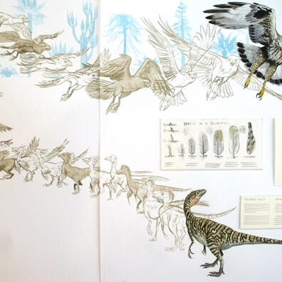 Fra dinosaur til fugl