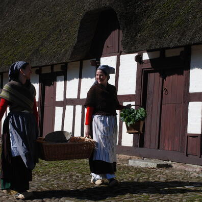 omvisning stx_hf_hhx_htx