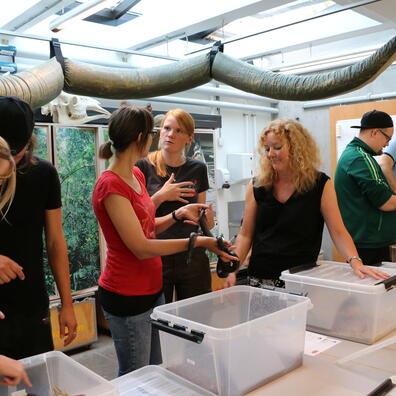 Kursus i Biologisk værksted 3