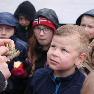 Oplevelses-, sansnings og forundringstur