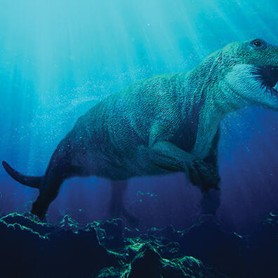 Op a’ hawe’ å tilbaws igen