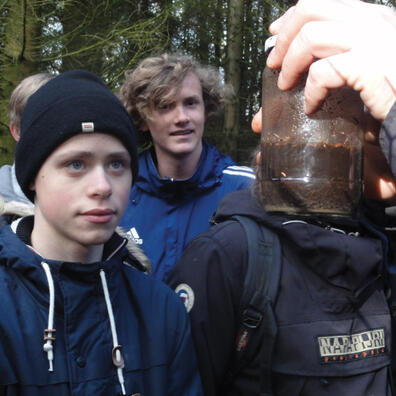 Skoven som økosystem