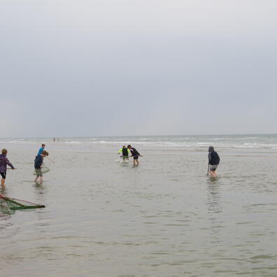 Fiskeri med rejehove indgår, hvis vejrforholdene tillader det.