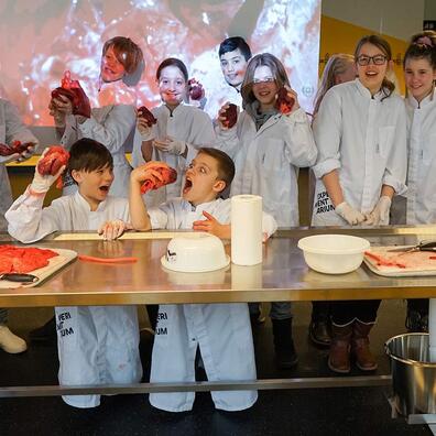 Hjerte-lungeværksted