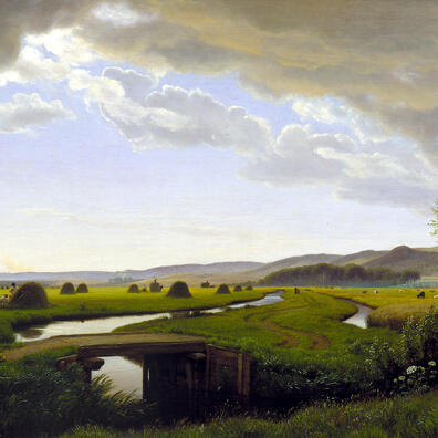 Den store eng ved Vejle