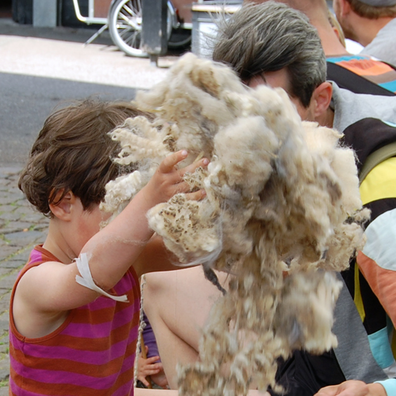 Uld kartning Skoletjenesten undervisningstilbud