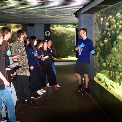 Evolution i fiskenes verden