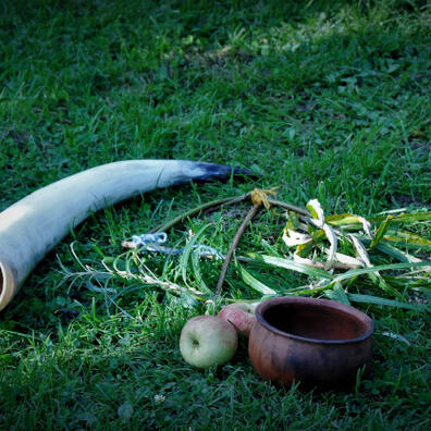 En dag med Vølven - lægeplanter, tro og ofring