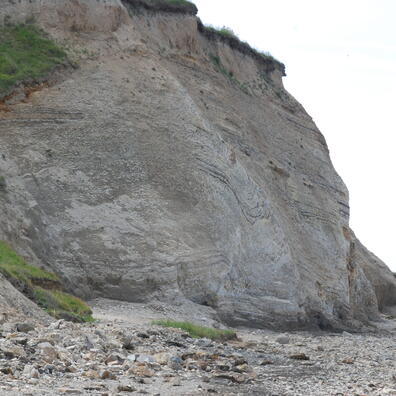 Molerskrænten ved Ertebølle Hoved